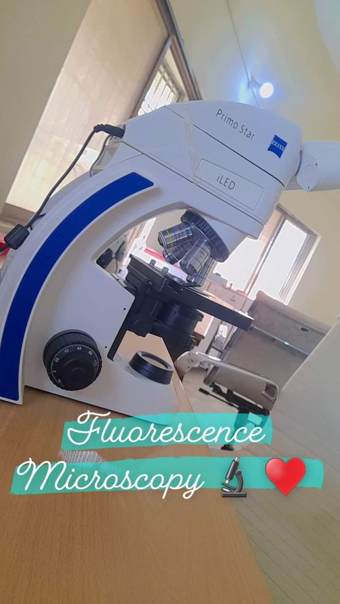 LED/Fluorescence Microscope 🔬