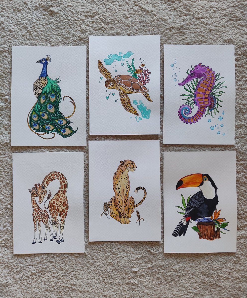 CinderPhoenix's tweet photo. Estoy haciendo dibujos de temática animal con acuarela, ayúdame a que me conozca más gente 🥹 Da RT o sígueme en mi insta artístico: cindermaniac 🩷 ¡Gracias! 🎨🖌️✨ https://t.co/ykgiirkSgE