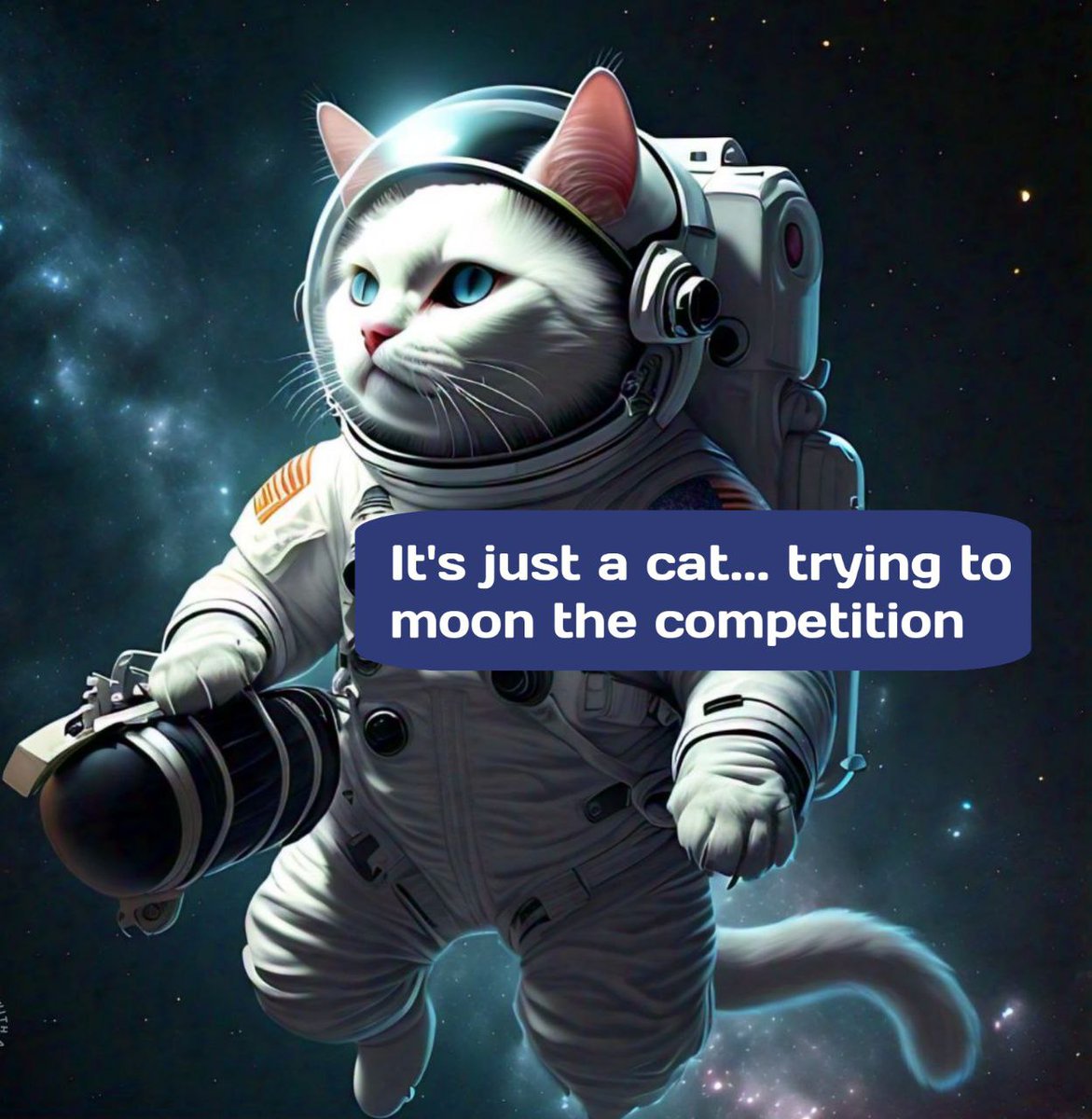 CATONAUTON's tweet photo. Gm #CATONAUT holders 

Gm @ton_blockchain https://t.co/LKghpr6UeR