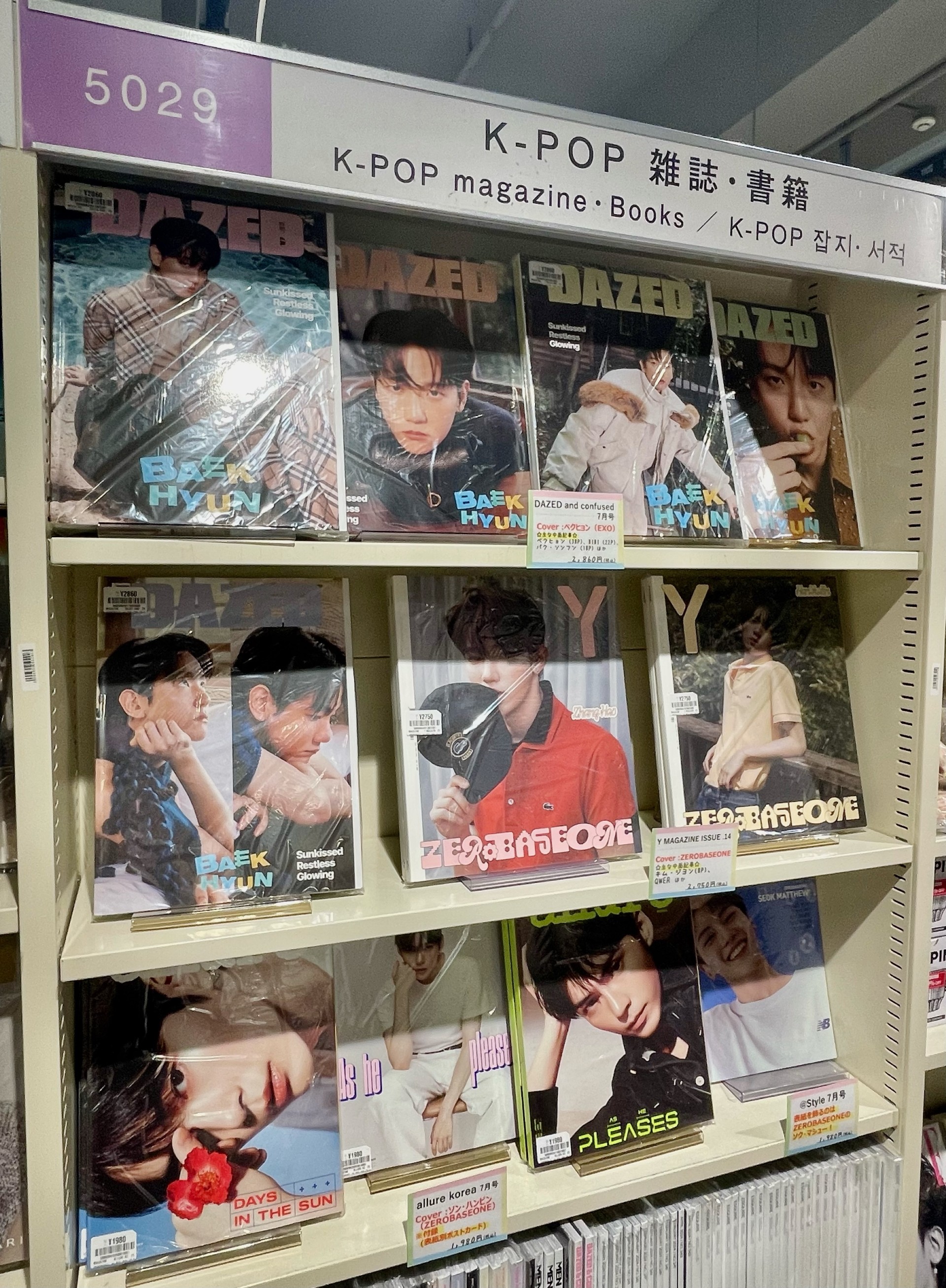 DAZED KOREA
