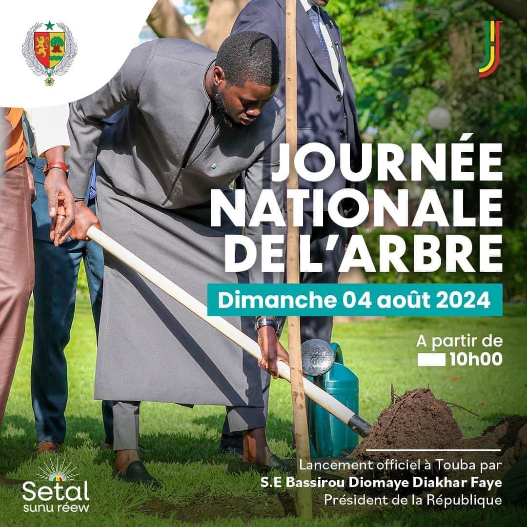 AdaMCoundoul's tweet photo. Le réchauffement climatique n’est pas uniquement une affaire de comportements. C’est toute l’organisation de notre société qui est en cause .

Continuons à planter des arbres pour préserver l’environnement pour les générations futures entre autres … https://t.co/UwVtbV7VAi