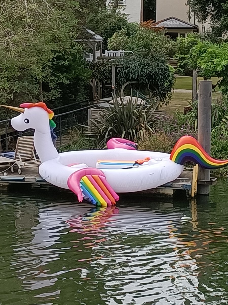 Empress Jojo ☀️🍻🎶💙🇺🇦 tweet media