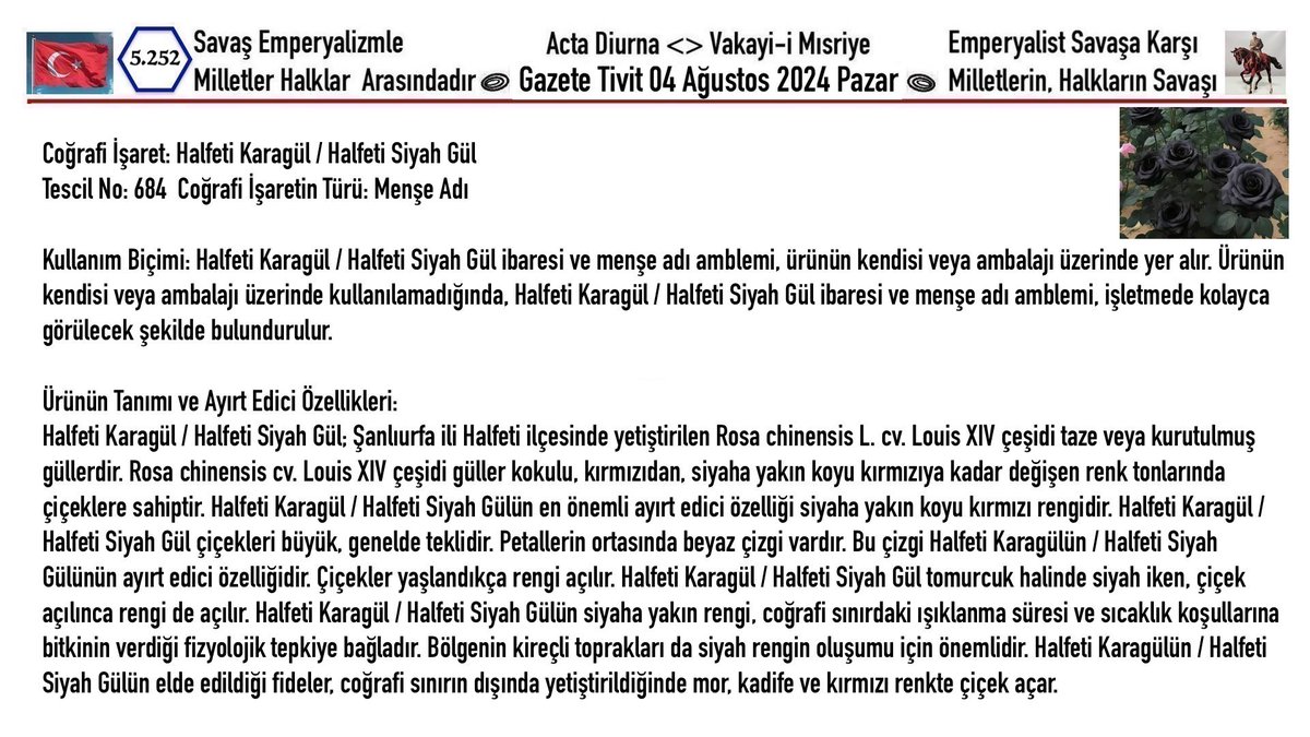 Gazete_Tivit's tweet photo. 04.08.2024_5.252
#Gazete_Tivit #Gazte 
#News #Haber #SonDakika
<>
"Dere boyu saz imiş
Güller açmiş yaz imiş
Ufaktum bilemedum
Kiz ettiğun naz imiş"
Rize'den
<>
Ey Emice Emice..
Nerden Aldun Bu Akli?
<>
Benzemez Kimse Sana 
MÜZEYYEN SENAR-TARKAN [10/10]
https://t.co/pftTuoM3Gn https://t.co/c8DzEAPEiH