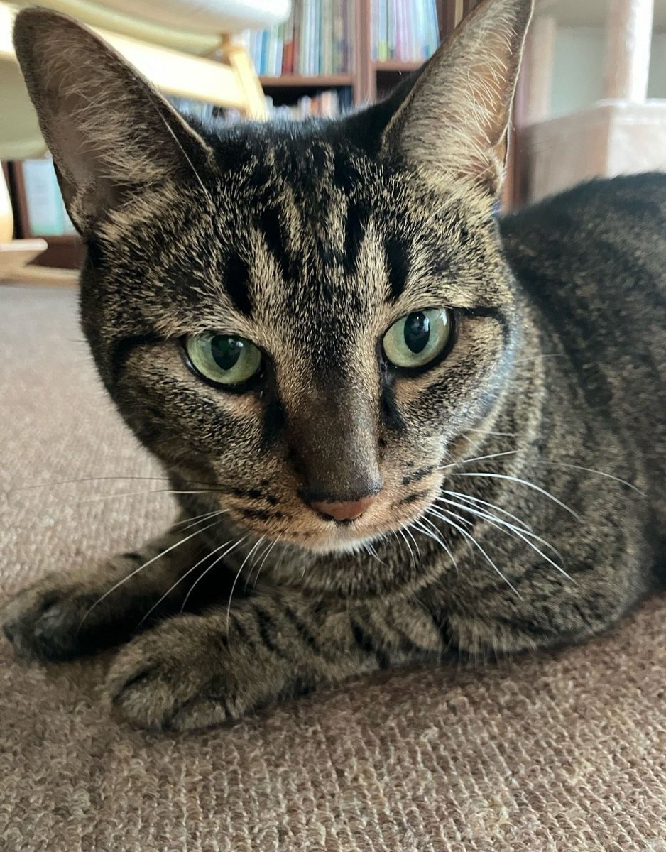 ドアップまつり！