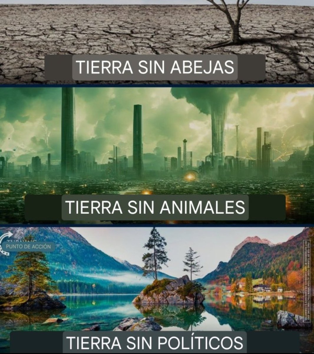 Antonio Martín tweet media