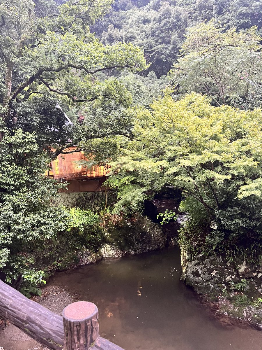 otowasansoh's tweet photo. 嘘の様に今は落ち着いてます。
ということで、デザートだけでも川床でめしあがってもらいました。
#川床　#箕面　#音羽山荘 https://t.co/n29r7ojkft