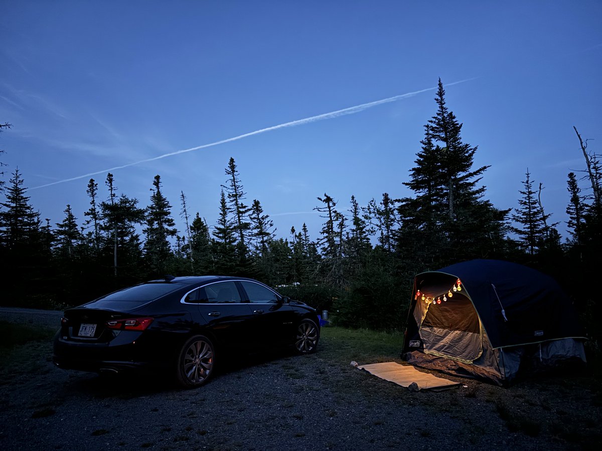 dawn_kimmy_nl's tweet photo. Great night camping under the stars β¨ πͺ΅ποΈπ₯
#NLCamping https://t.co/dexaMJX9Y7