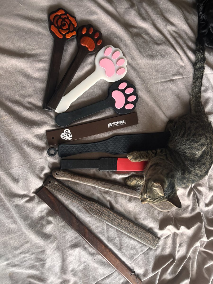 vajor_'s tweet photo. 不听话的小姑娘可有福了 https://t.co/FqtDygjFJi