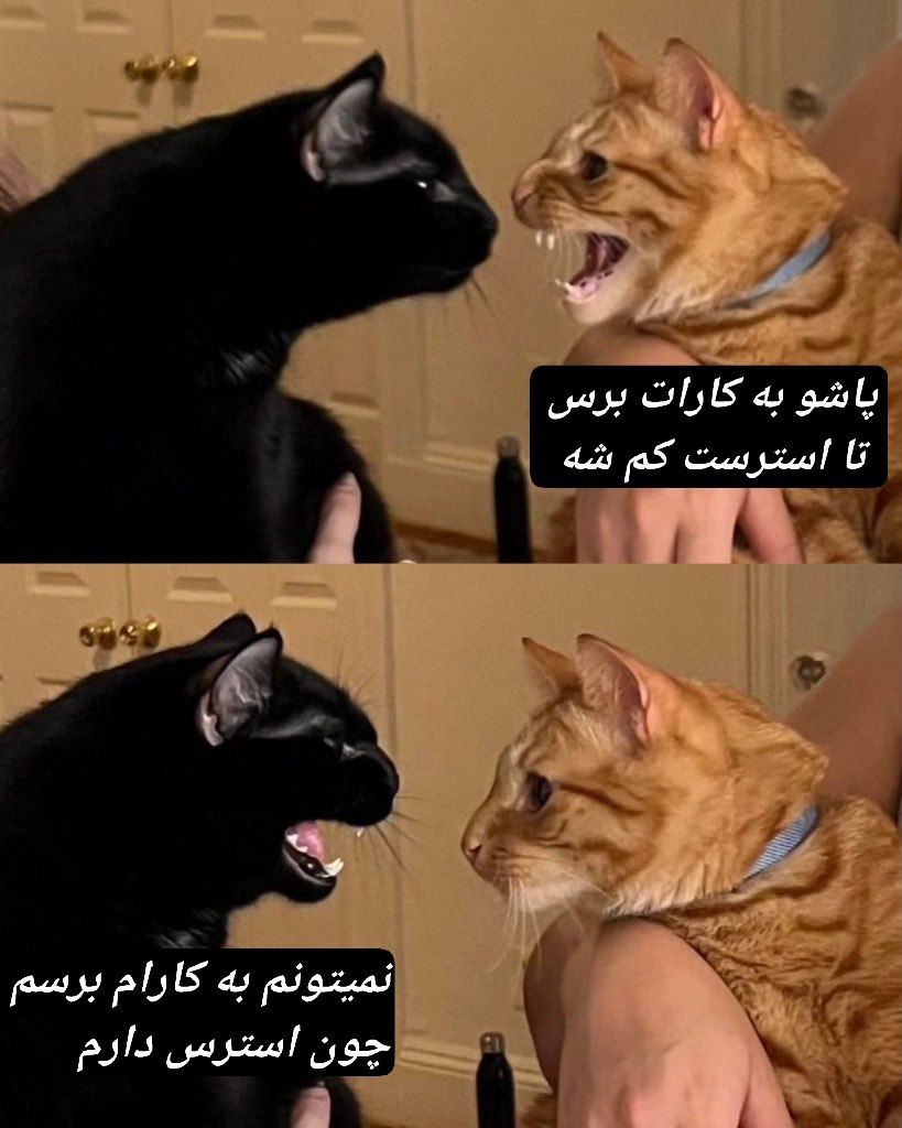 IIProblematicII's tweet photo. لوپ بی نهایت https://t.co/jI4EPGFxJr