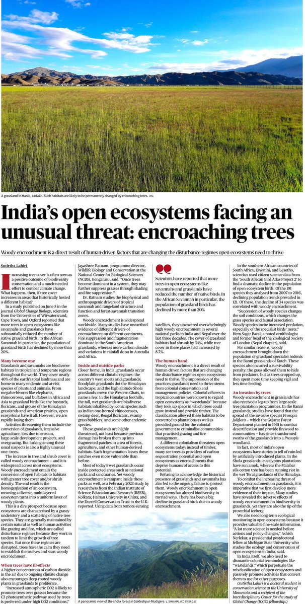 VetalTekdi's tweet photo. @TamhiniGhat #OpenEcosystems deserve your urgent understanding 

Better for all tekdi enthusiasts and nature-loving volunteer folks to err on the side of caution just when 🌱 plantation fever is on a high

#Savanna 
 
@anandvanpune 
@GreenSunriseHiL
@PKarve_Samuchit 

Pl help spread msg 🙏🏻 https://t.co/8MUHBy7U0o