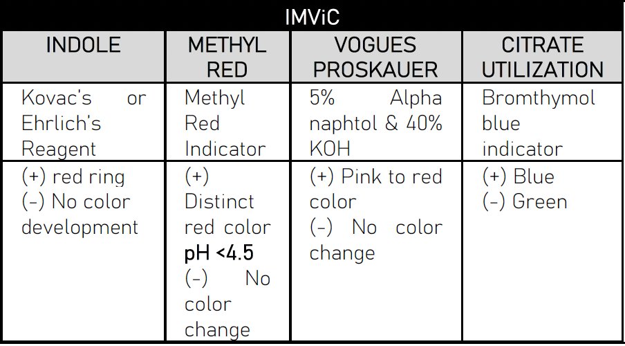 mjlbnotes's tweet photo. BACTE MUST-KNOW‼️ IMViC Reactions https://t.co/gXbnl1APCn