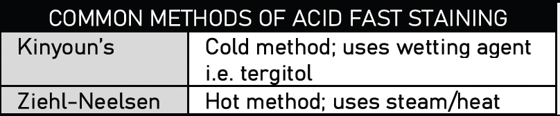 mjlbnotes's tweet photo. BACTE MUST-KNOW‼️ Common methods of Acid Fast Staining 🦠🧪 https://t.co/RsDkUatrn2
