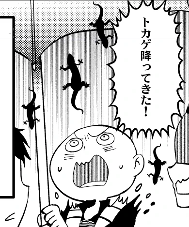 自転車漫画だって(以下略) 