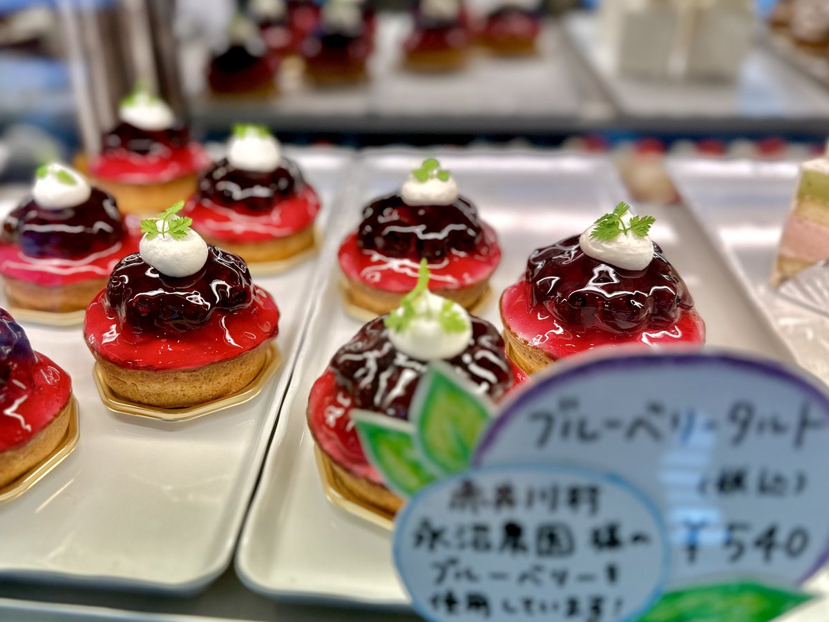 otaru_sweets's tweet photo. 館ブランシェさんの「ブルーベリータルト」🫐

永沼農園さんのブルーベリーを使用しているそうです❣️

キラキラしていて…まるで宝石みたい💎✨

#小樽  #花園 #赤井川村 #赤井川 #後志 #北海道 #otaruスイーツ #洋菓子 #ケーキ #老舗洋菓子店 #喫茶室 https://t.co/YKfQIbgRNc