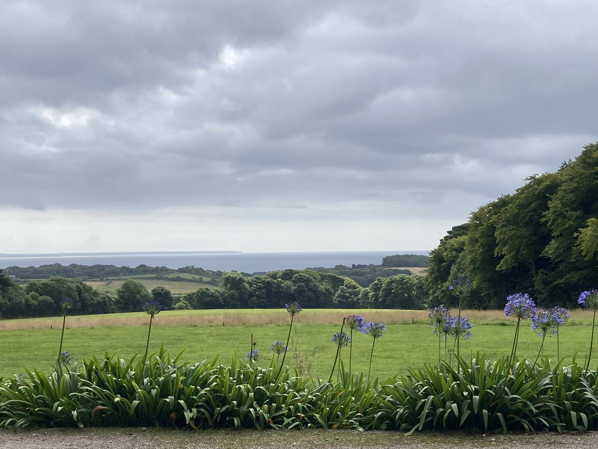 mrchoughs's tweet photo. "It's Oh So Quiet" @nationaltrust  Trengwainton Gardens 💛🖤 https://t.co/CcrDSH58kZ