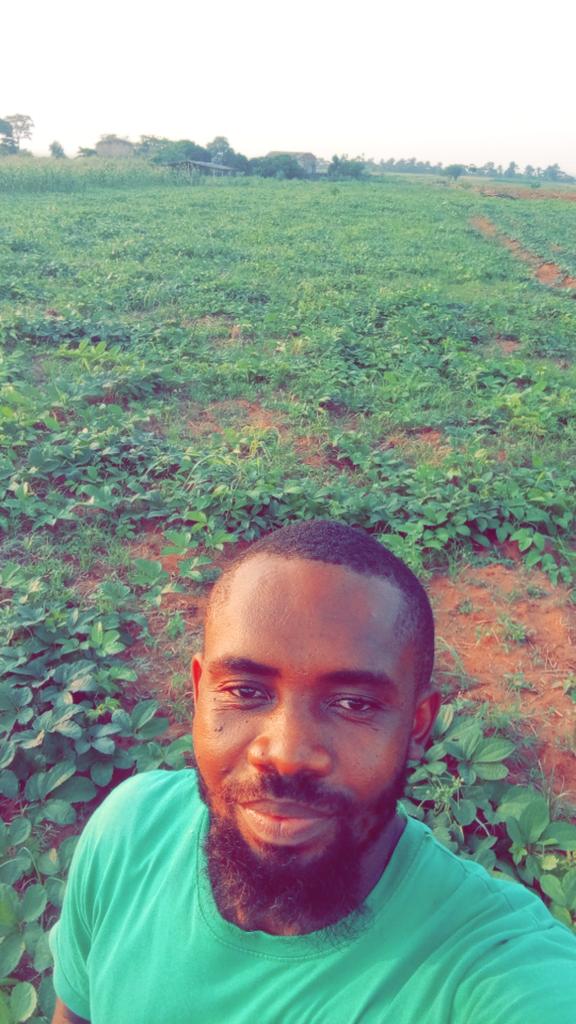 Chukwunonso (Farmer) tweet media