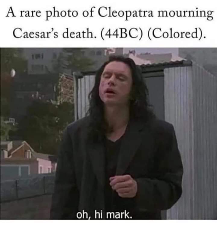 Classical Studies Memes (@csmfht) on Twitter photo 