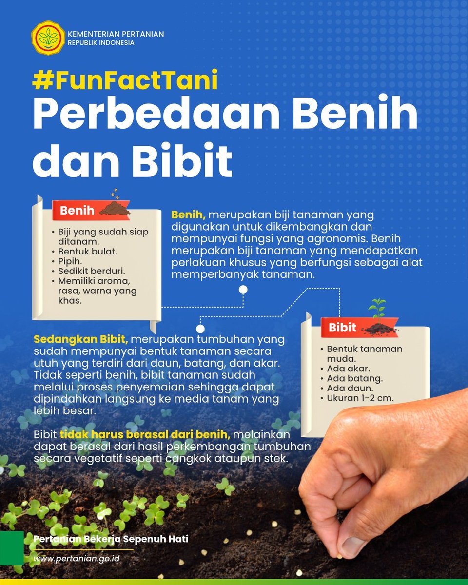 kementan's tweet photo. SobaTani, benih dan bibit seringkali dianggap sama oleh beberapa kalangan. Namun, ternyata keduanya memiliki perbedaan yang cukup signifikan looh #SobaTani

Berikut #FunFactTani edisi Perbedaan benih dan bibit untuk #SobaTani

Next, kita bahas apa lagi nih Sob?

#FunFactTani https://t.co/tTbLcknryo