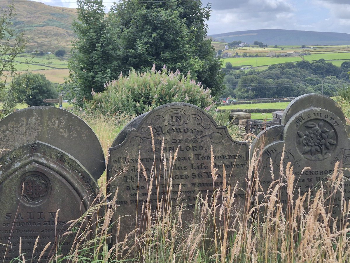 Coffin Boffin tweet media