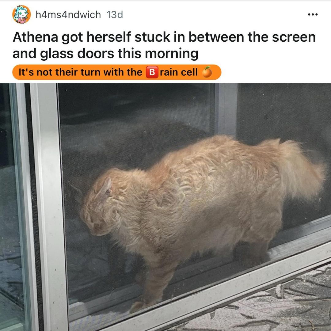 she has resigned to her fate