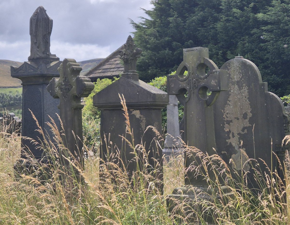 Coffin Boffin tweet media