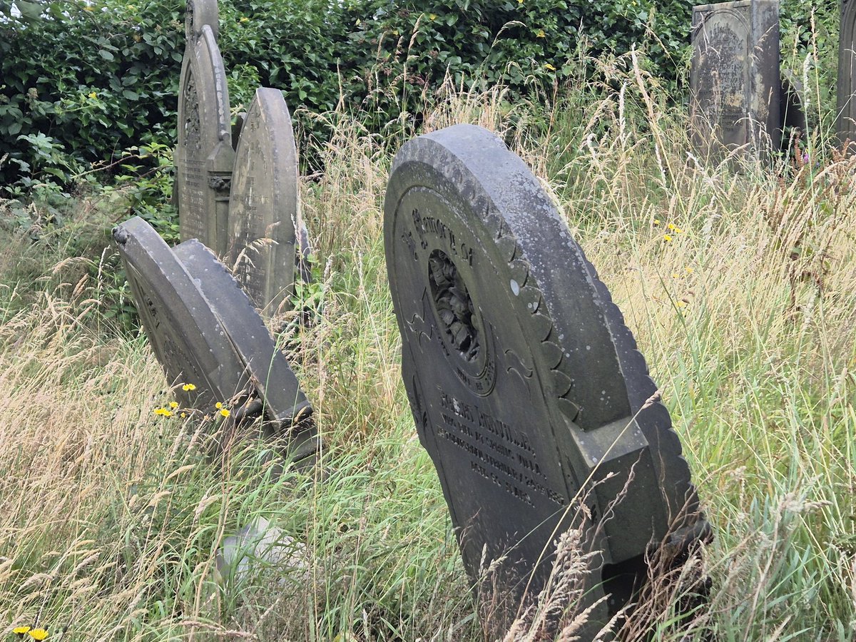 Coffin Boffin tweet media