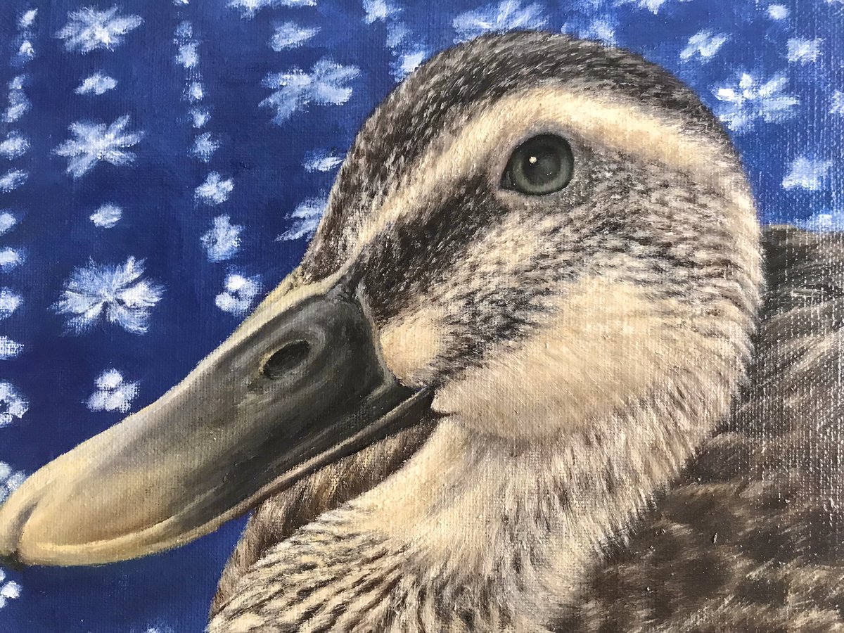 65Rikonic's tweet photo. F8号　ちよちゃん🦆
思い出の絨毯の上で、まったり✨
雛時代のちよちゃんも一緒に🐥

.
.
#rikonic #りこにっく #油絵オーダーメイド #鴨 #カルガモ https://t.co/puosdtT4ym