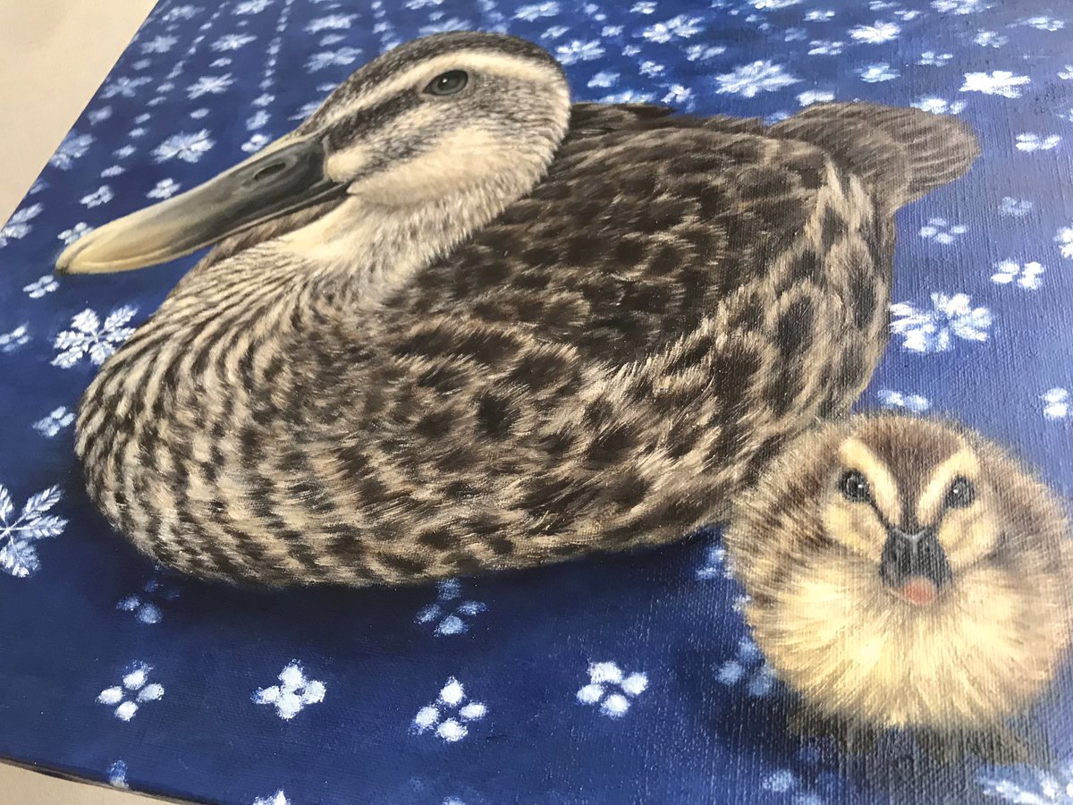 65Rikonic's tweet photo. F8号　ちよちゃん🦆
思い出の絨毯の上で、まったり✨
雛時代のちよちゃんも一緒に🐥

.
.
#rikonic #りこにっく #油絵オーダーメイド #鴨 #カルガモ https://t.co/puosdtT4ym