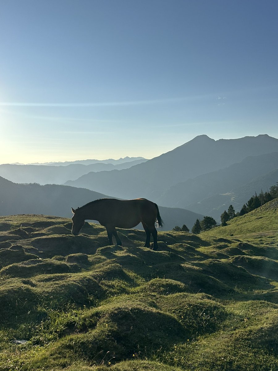 Mario Ruiz tweet media