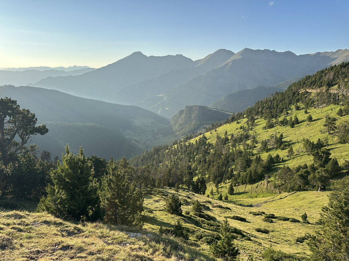 Mario Ruiz tweet media