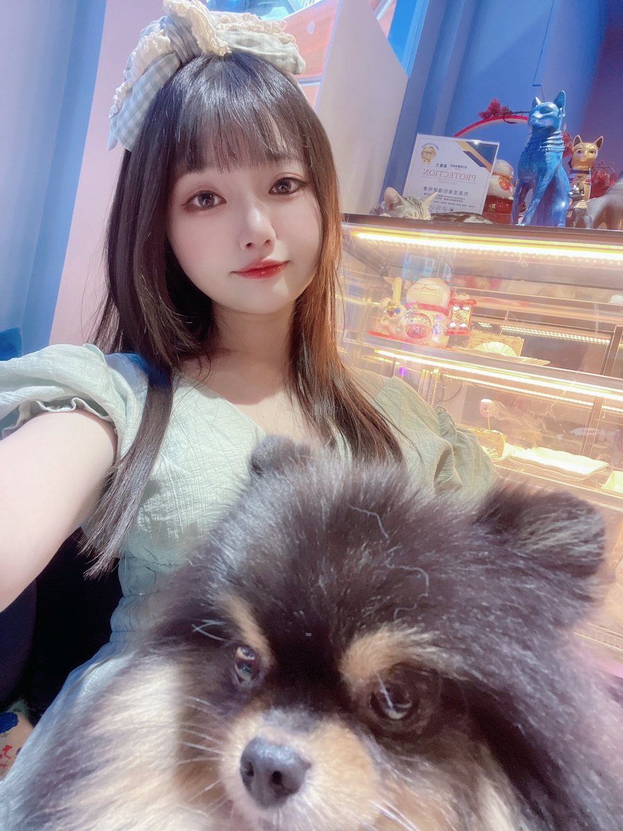 大家有養過狗狗的經驗嗎？
沒有的話會最想養什麼狗？ https://t.co/phjPBOTKvV
