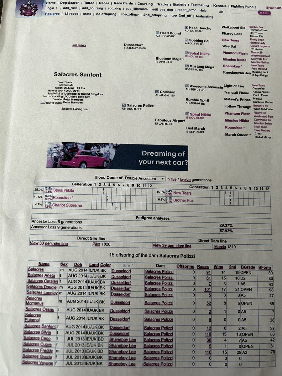 David Pipes tweet media