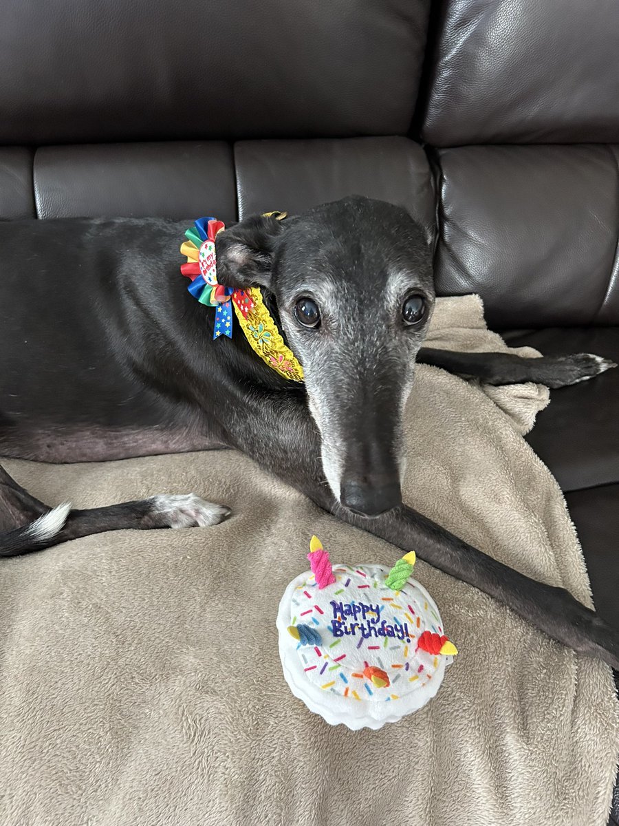 David Pipes tweet media