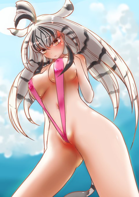 チャップマンシマウマちゃんにきわどい水着を着てもらいました。オシャレです! 