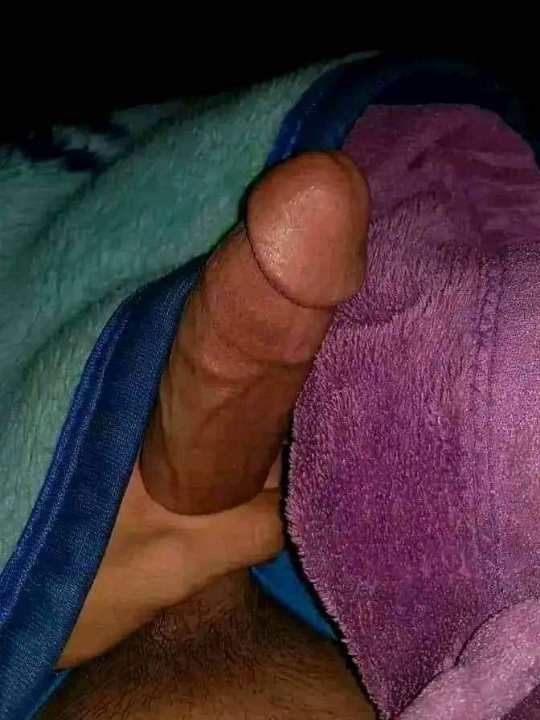 arief tweet media
