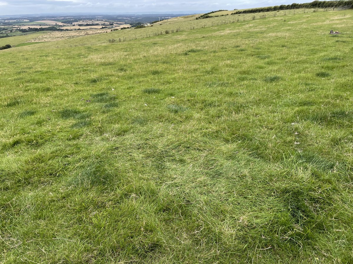 xmob's tweet photo. Leave no trace. https://t.co/7bzwzunm4V