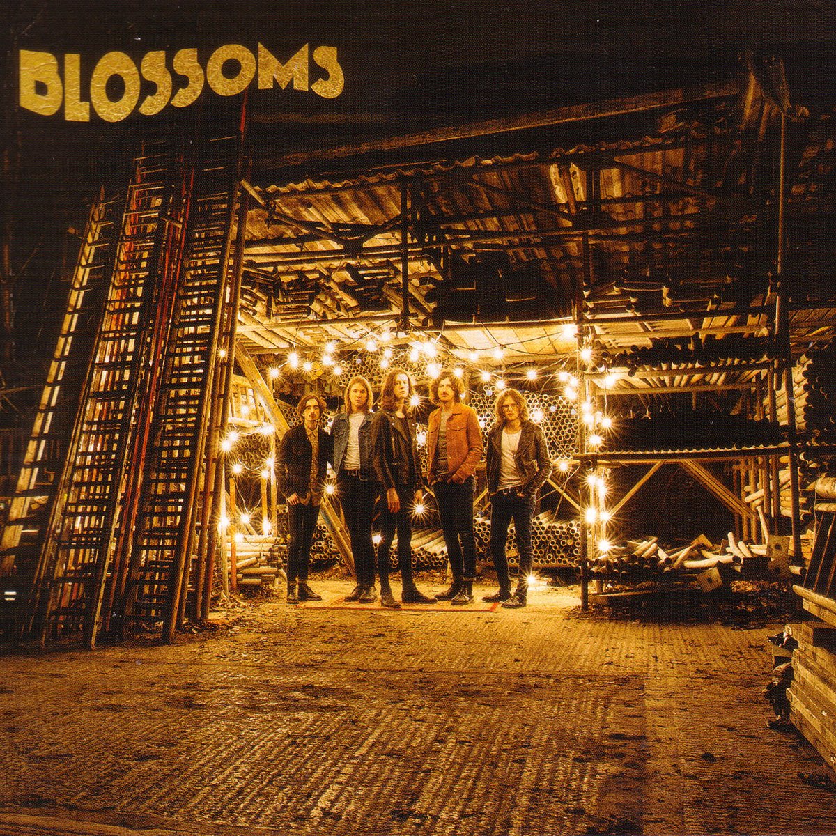 gigsintoon's tweet photo. On this day in 2016, @BlossomsBand released their debut self titled album.

In at number 1 in the UK charts!  

Charlamagne is such a fantastic song but there is so much more to the band. https://t.co/7rQFKENO87