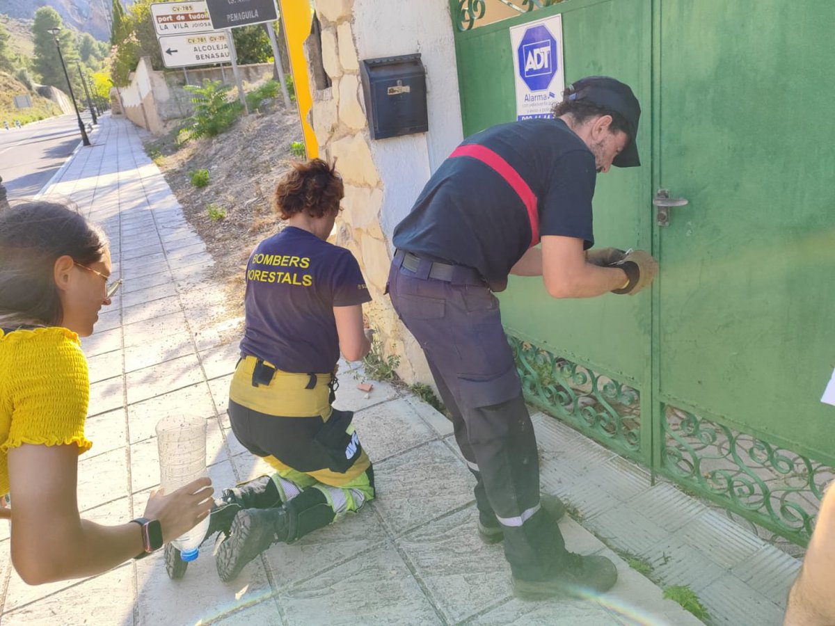 GVAbforestals's tweet photo. 🦫Los animales son víctimas también de los incendios forestales. 

Encontramos desorientado en la carretera a un hurón con quemaduras que escapaba del fuego en el #IFBenasau. 

Junto a compañeros del @BomberosDipuALC logramos rescatar al animalito y lo tuvimos en el PMA alimentándolo y cuidándolo hasta que se hicieron cargo de él.