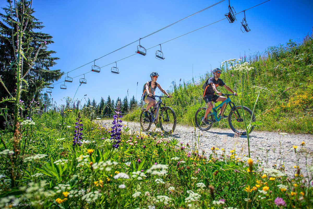 Feeling inspired by an incredible summer of sport? France isn't just about Paris this #summer!  With an activity for everyone right on our doorstep, make the most of summer with a trip to #Chilly Powder. Contact info@chillypowder.com for more details.