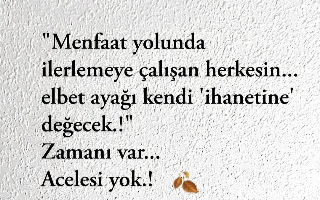 Pelin (@pelince2022) on Twitter photo 