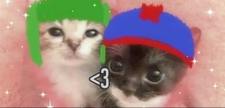 💚💙✨Anyouig✨💚💙 tweet media