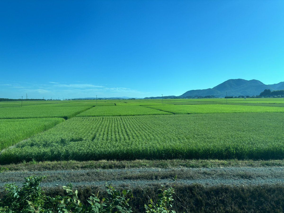 keyboard1002's tweet photo. 新潟の夏って結構良いんだよね https://t.co/3rMmGXRYuA