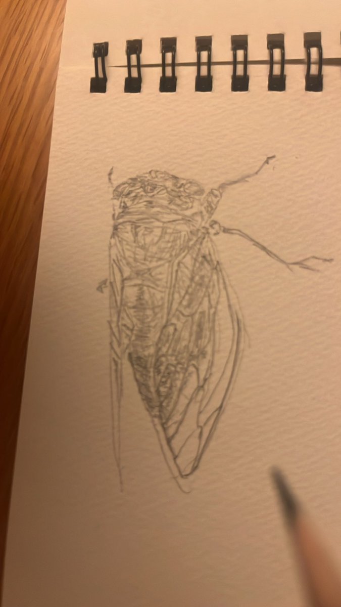same__kosame's tweet photo. ｼﾞﾘｼﾞﾘｼﾞﾘｼﾞﾘｼﾞﾘｼﾞﾘｼﾞﾘｼﾞﾘ https://t.co/i8ncaVcIfh