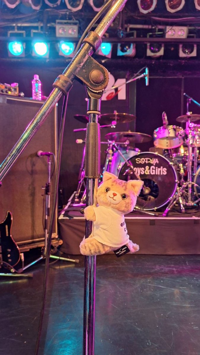 黒柳 能生〈公式〉 (@kuroyanagi440) / X