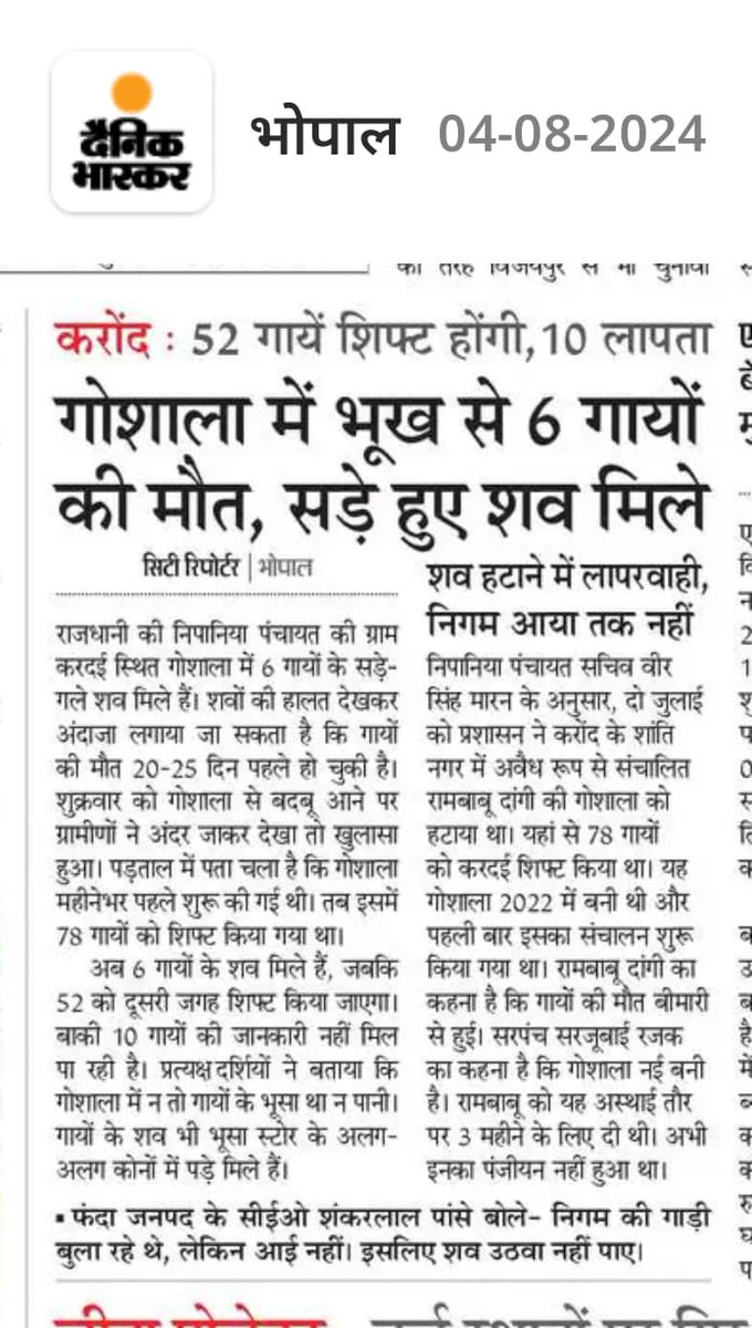 SangeetaCongres's tweet photo. स्वघोषित हिंदुओं की ट्रिपल इंजन भाजपा सरकार से गौमाता सँभाली नहीं जा रही है भूख-प्यास से तड़प तड़पकर मर रही है गौमाता❗️
राजधानी भोपाल के निपानिया पंचायत की करदई स्थित गौशाला में 6 गायों की मौत लगभग एक महीने पहले हो गई थी लाश सड़ चुकी थी 10 गाय लापता भी है 
क्या कर रहे है सीएम मोहन यादव जी ❓
क्या कर रहे है पशुपालन मंत्री जी ❓
क्या कर रही है भोपाल महापौर ❓
और क्या कर रहे है कमिश्नर महोदय ❓