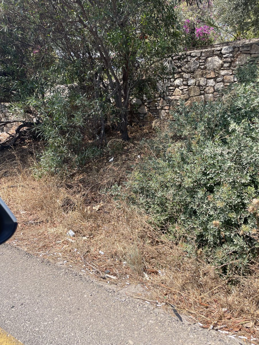 Yol kenarlarına atılan çöpler atanların … ne girsin🤬