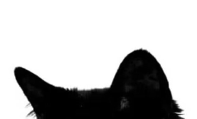 KDora1992's tweet image. 