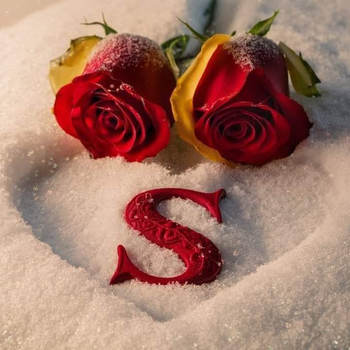 90ll0l's tweet photo. @_sila88 صباح السعادة لقلبك يا سمسمة https://t.co/67ibgLdpJ3