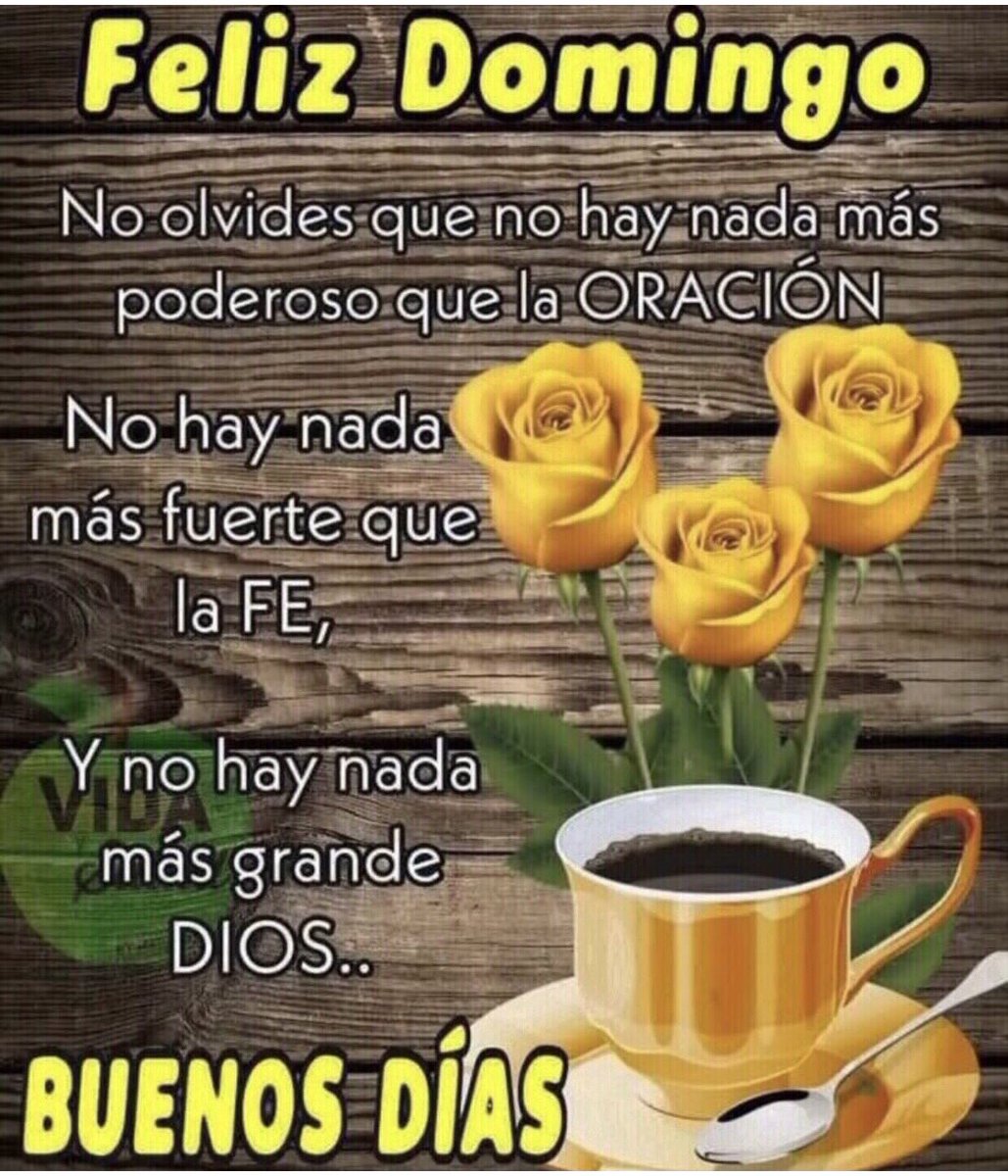 ncjcoseca's tweet photo. https://t.co/IqnGBR8aoW