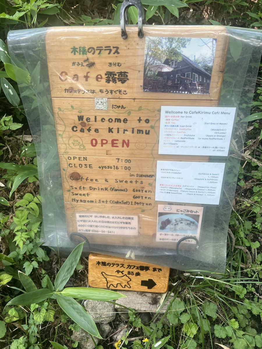 panchan232323's tweet photo. ころぼっくるひゅっては大人気で激混みなので、少し散策した山奥のcafe霧夢とてもおすすめです🌳森の中のテラス席で、窯で焼いたピザが食べられます🍕レモネードもお勧め。レモンも食べられる手作りレモネードです🍋#ビーナスライン #cafe霧夢 #霧ヶ峰 #ころぼっくるひゅって https://t.co/AC34n3BOST
